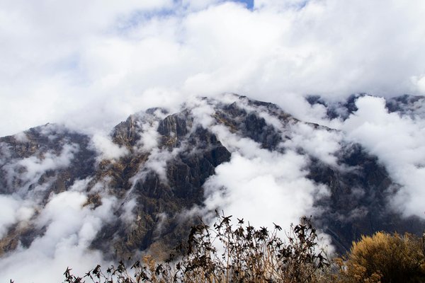 Unveiling oxford"s hidden budget bookstores: a traveler"s ultimate guide to affordable reads